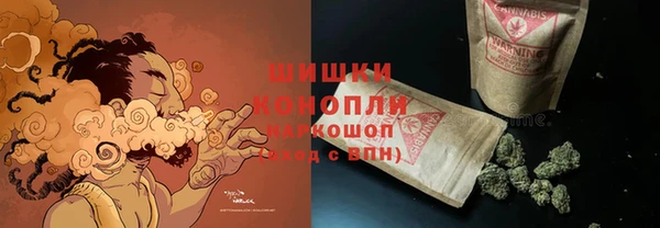 тгк Богородицк