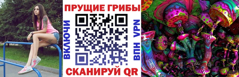 Купить где  Горячий Ключ  Псилоцибиновые грибы MAGIC MUSHROOMS 